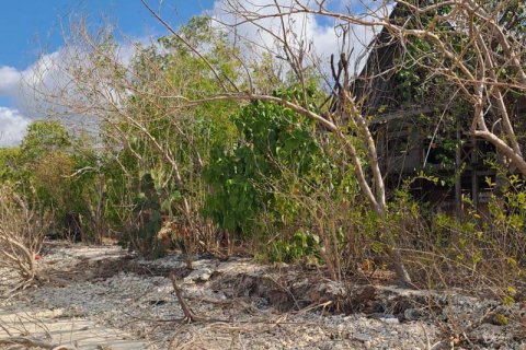 5800m2 Land in  No. 9115 3