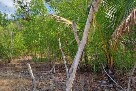 5800m2 Land in  No. 9115 10