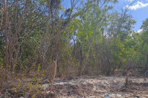 5800m2 Land in  No. 9115 5