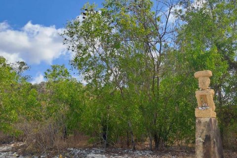 5800m2 Land in  No. 9115 11