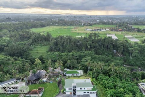 Вилла с 4 спальнями в Убуд, Гианьяр, Индонезия № 9765 28