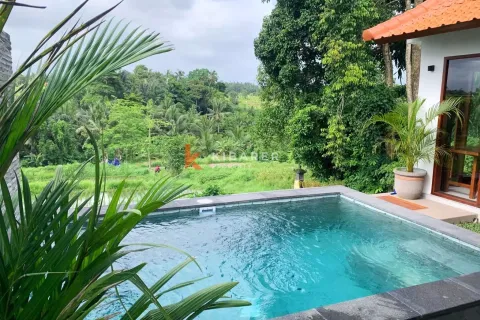 2 bedrooms Villa in Mengwi, Badung, Indonesia No. 12384 2