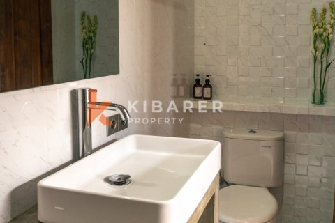 2 bedrooms Villa in Kerobokan, Badung, Indonesia No. 12386 10