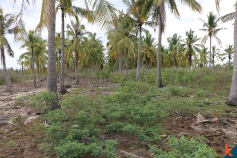 Land in Central Lombok, Indonesia No. 11544 4