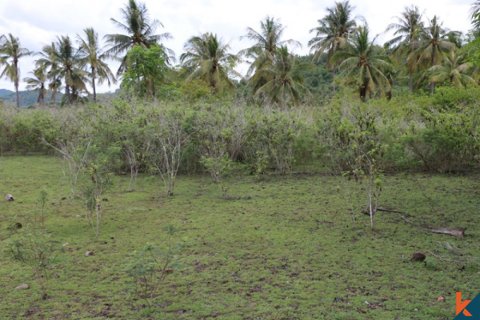 Land in Central Lombok, Indonesia No. 11544 3