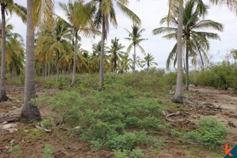 Land in Central Lombok, Indonesia No. 11544