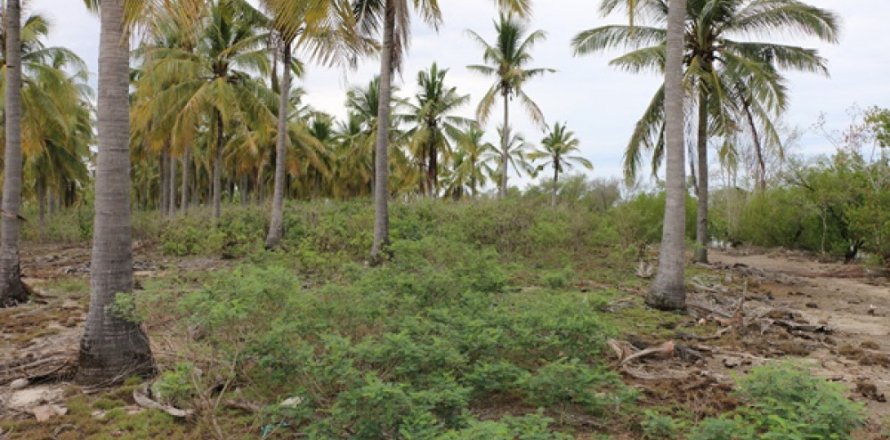 Land in Central Lombok, Indonesia No. 11544