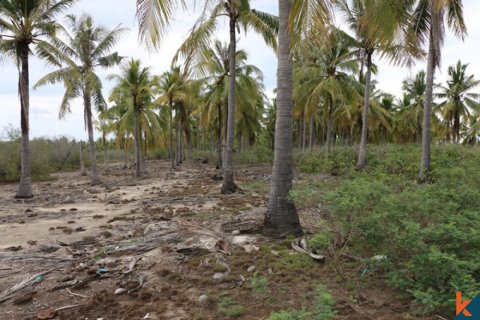 Land in Central Lombok, Indonesia No. 11544 5