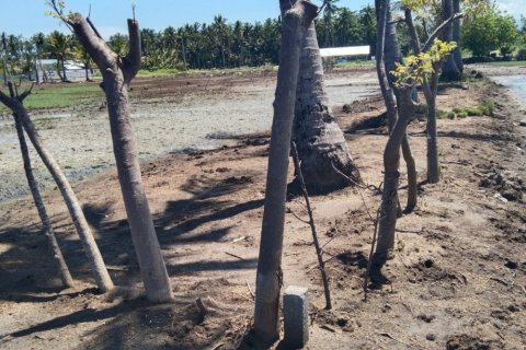 Land in Central Lombok, Indonesia No. 11546 2