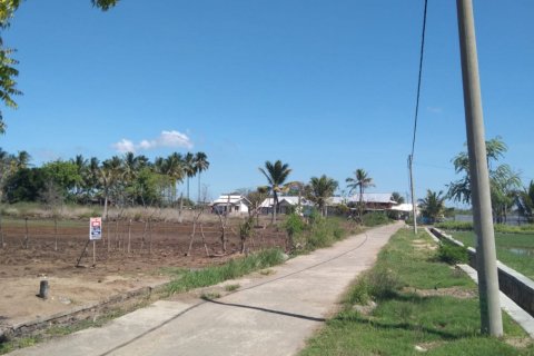 Land in Central Lombok, Indonesia No. 11546 5