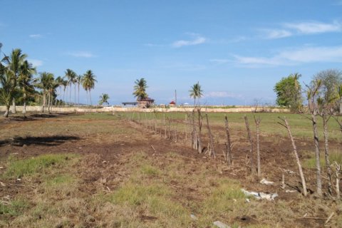 Land in Central Lombok, Indonesia No. 11546 8