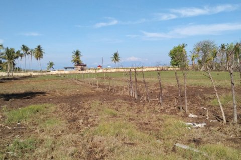 Land in Central Lombok, Indonesia No. 11546 9