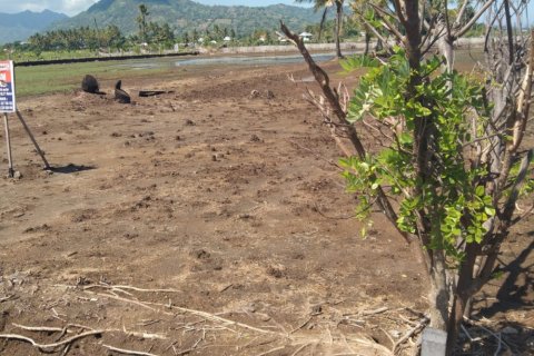 Land in Central Lombok, Indonesia No. 11546 4