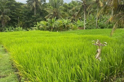 710m2 Land in Tabanan, Indonesia No. 13352 2