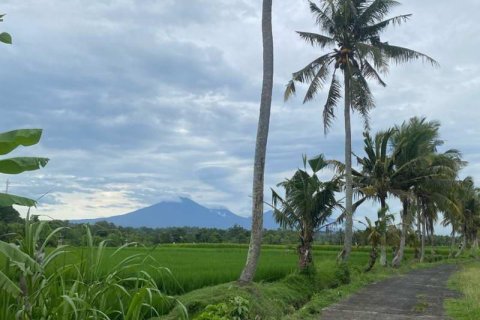 710m2 Land in Tabanan, Indonesia No. 13352 3