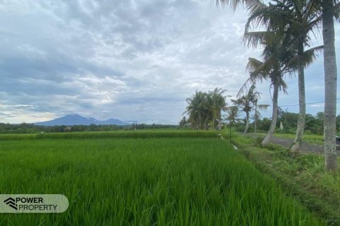 710m2 Land in Tabanan, Indonesia No. 13352