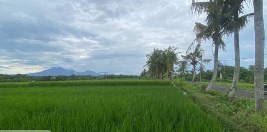 710m2 Land in Tabanan, Indonesia No. 13352