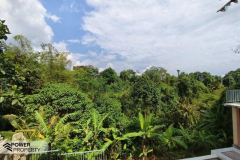 270m2 Land in Tabanan, Indonesia No. 13347 6