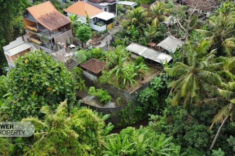 270m2 Land in Tabanan, Indonesia No. 13347 5