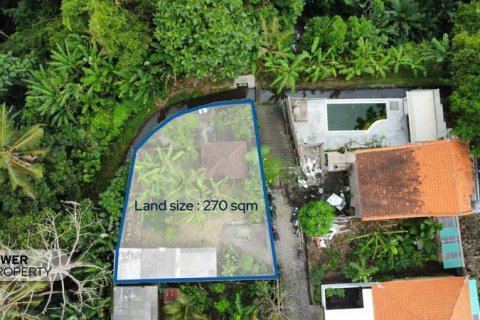 270m2 Land in Tabanan, Indonesia No. 13347 4