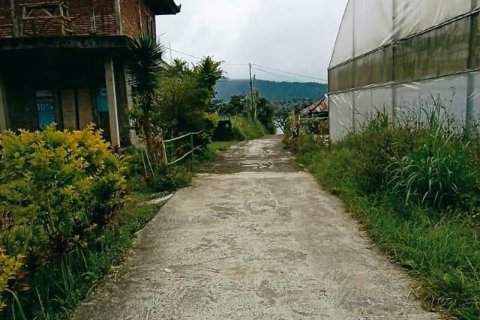 565m2 Land in Tabanan, Indonesia No. 13350 4