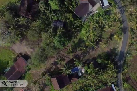 474m2 Land in Tabanan, Indonesia No. 13353 4