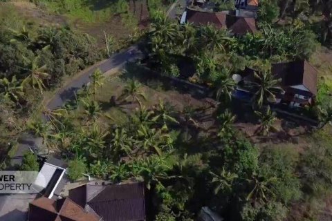 474m2 Land in Tabanan, Indonesia No. 13353 5