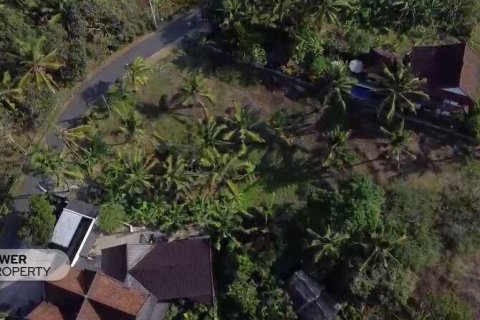 474m2 Land in Tabanan, Indonesia No. 13353 3