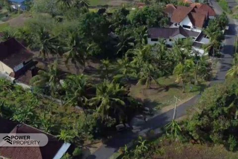 474m2 Land in Tabanan, Indonesia No. 13353 6