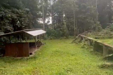 1230m2 Land in Ubud, Gianyar, Indonesia No. 13348 4