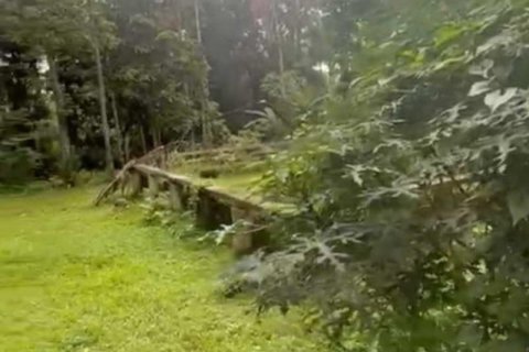 1230m2 Land in Ubud, Gianyar, Indonesia No. 13348 5
