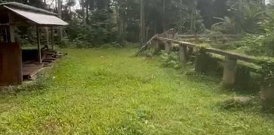 1230m2 Land in Ubud, Gianyar, Indonesia No. 13348