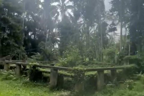 1230m2 Land in Ubud, Gianyar, Indonesia No. 13348 2