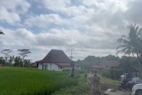 1230m2 Land in Ubud, Gianyar, Indonesia No. 13348 6