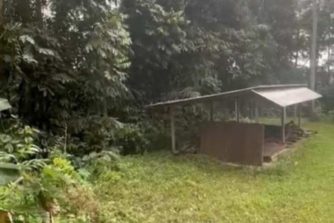 1230m2 Land in Ubud, Gianyar, Indonesia No. 13348 3