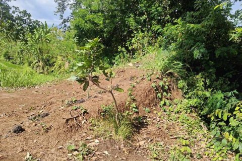 400m2 Land in Tabanan, Indonesia No. 13351 7