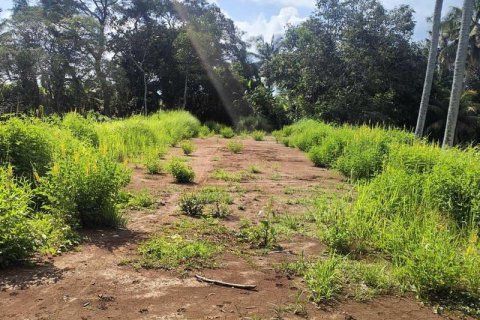 400m2 Land in Tabanan, Indonesia No. 13351 9