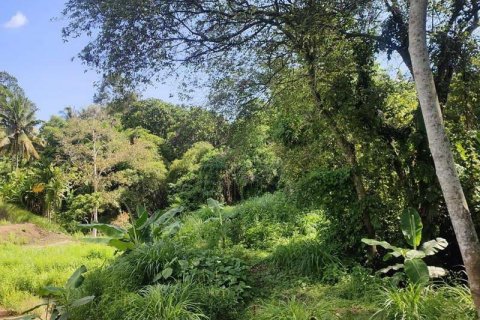 400m2 Land in Tabanan, Indonesia No. 13351 13