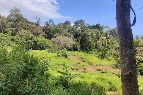 400m2 Land in Tabanan, Indonesia No. 13351 12