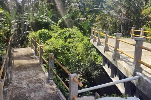 400m2 Land in Tabanan, Indonesia No. 13351 2