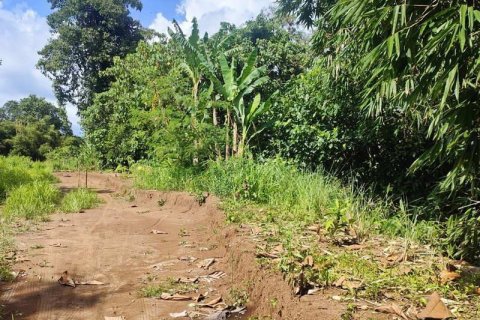 400m2 Land in Tabanan, Indonesia No. 13351 14