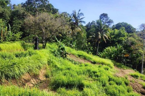 400m2 Land in Tabanan, Indonesia No. 13351 8