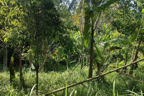 400m2 Land in Tabanan, Indonesia No. 13351 21