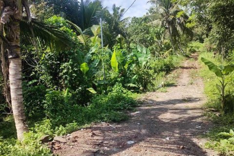 400m2 Land in Tabanan, Indonesia No. 13351 18