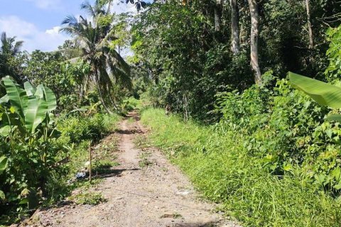 400m2 Land in Tabanan, Indonesia No. 13351 17