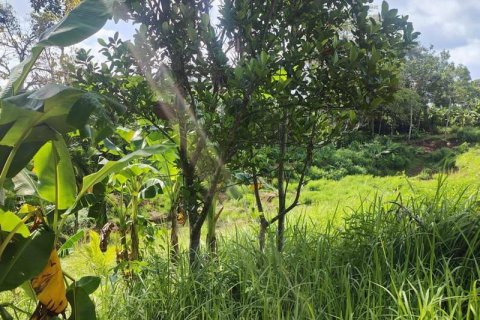 400m2 Land in Tabanan, Indonesia No. 13351 23