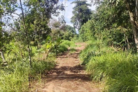 400m2 Land in Tabanan, Indonesia No. 13351 20