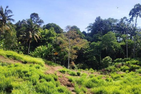 400m2 Land in Tabanan, Indonesia No. 13351 4