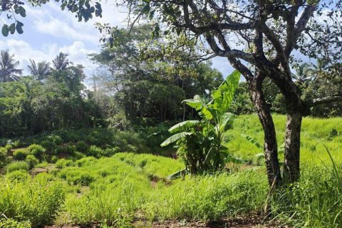 400m2 Land in Tabanan, Indonesia No. 13351 5