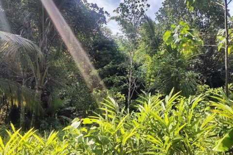 400m2 Land in Tabanan, Indonesia No. 13351 16